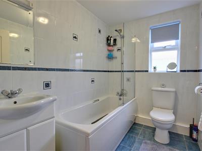 Picture 8